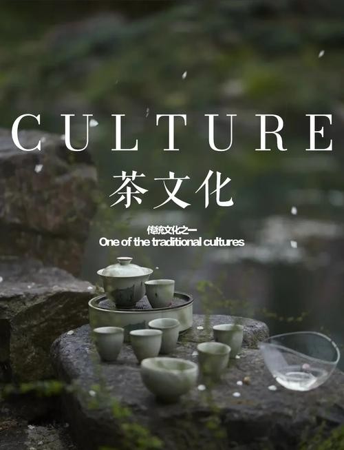 从一杯茶开始，重建生活的秩序感