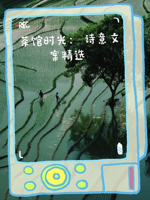 茶馆时光的哲学，等待水温降下的第一课。