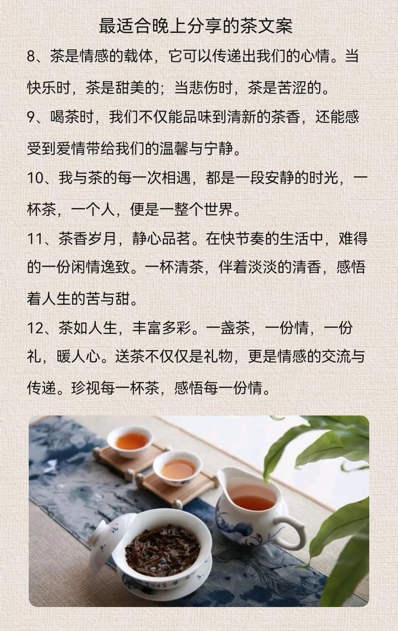 以茶会友，一壶自带的香茗，换来邻桌的本地故事分享乐趣