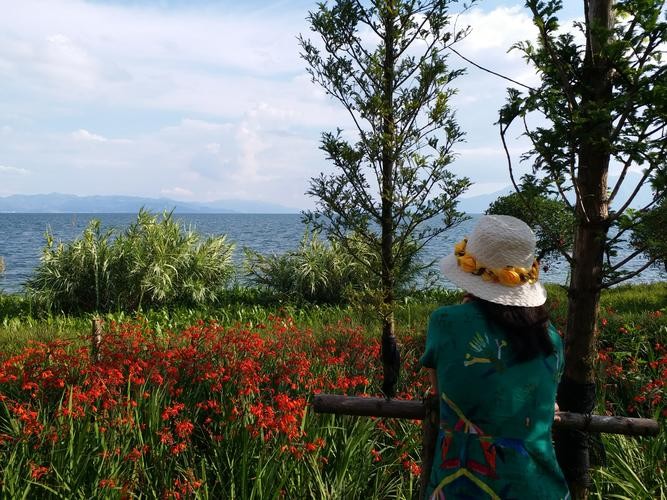 未来高铁，人宠同乘的奇妙共舞——狗与蜥蝴同行记。