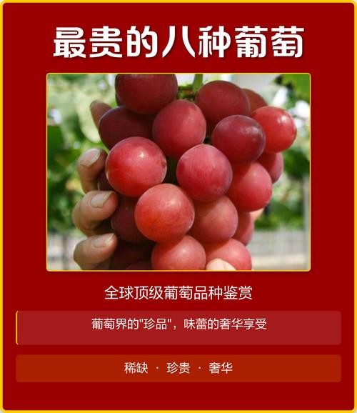 天价水果，葡萄30元一斤，草莓价格惊人